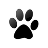 Captcha image 2117